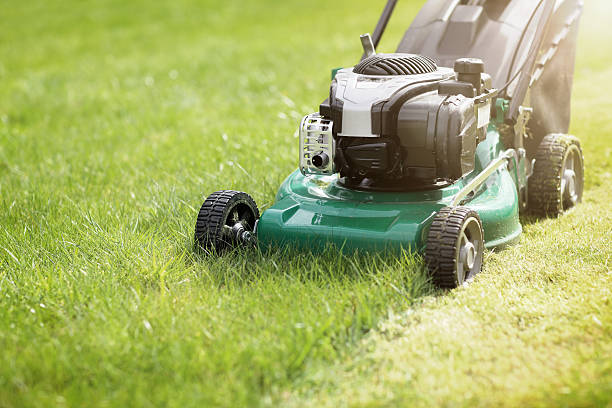 Lawnmower being tuned up on a lawn